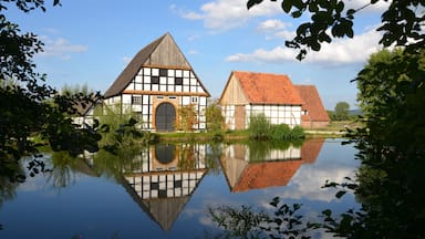 Detmold