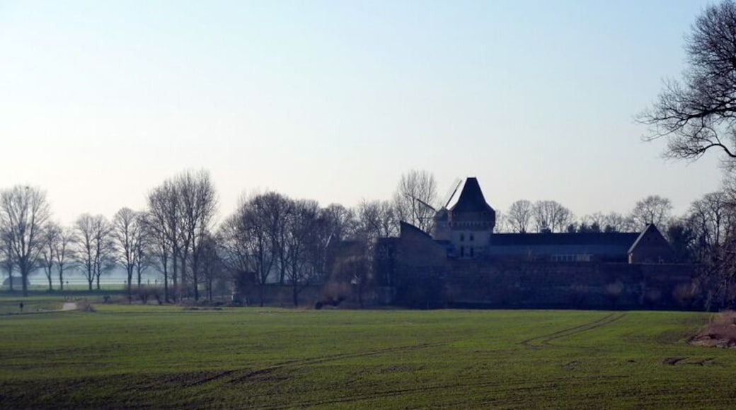 Blick vom Deich auf Zons