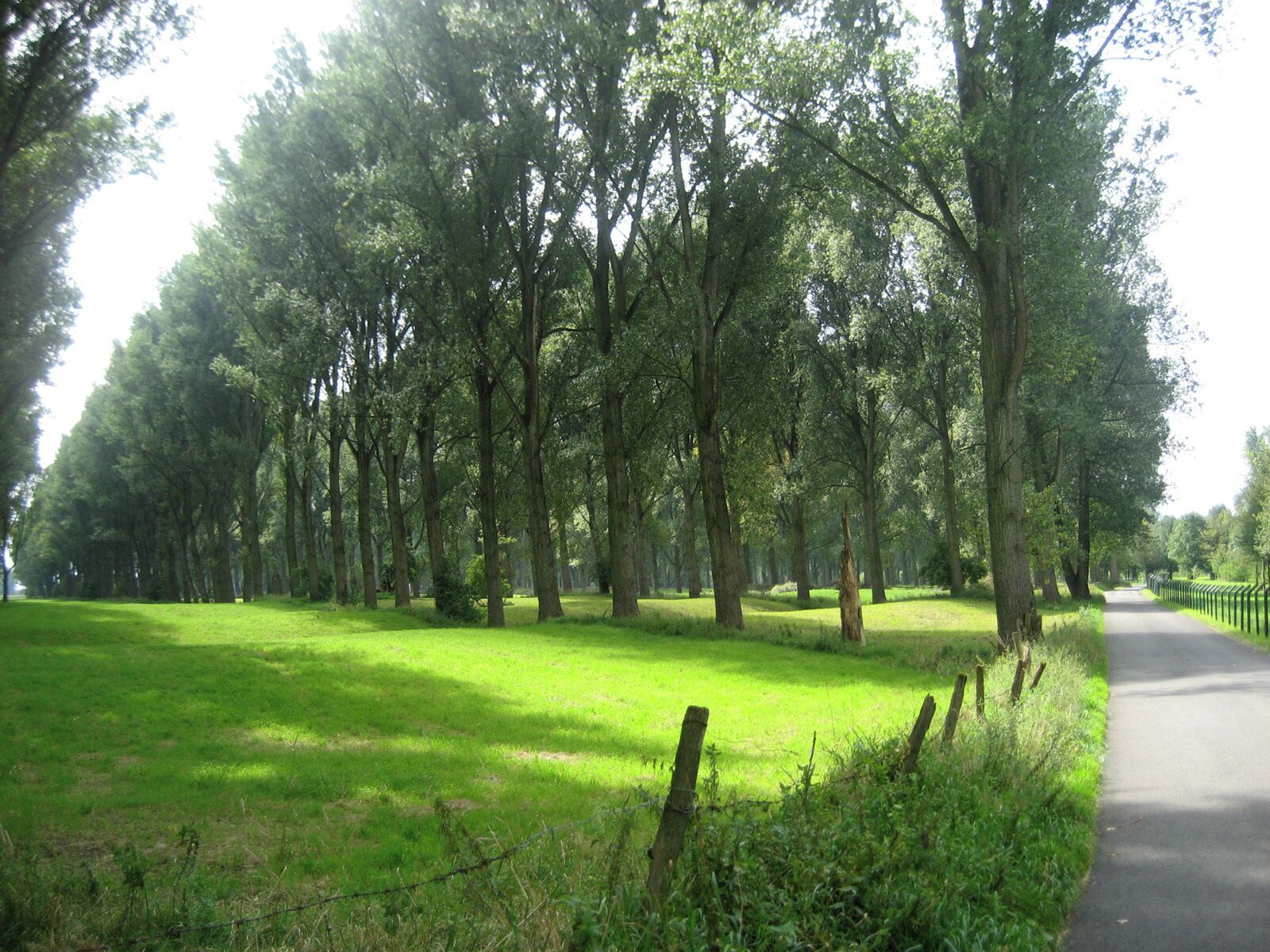 Naturschutzgebiet Zonser Grind