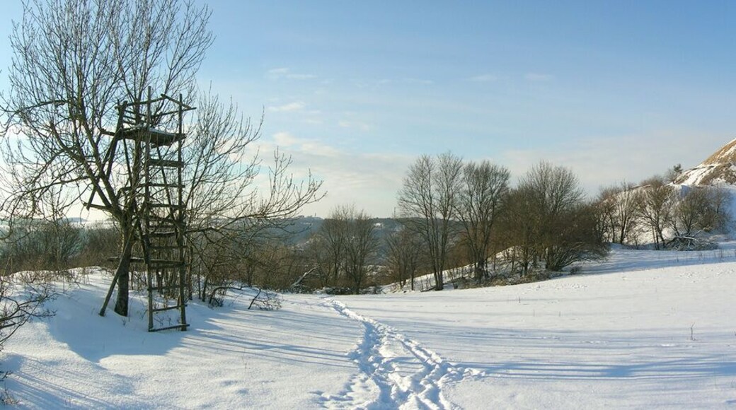 Eichstätt/Wintershof: Winterlandschaft am Hochgericht/Galgenberg.
