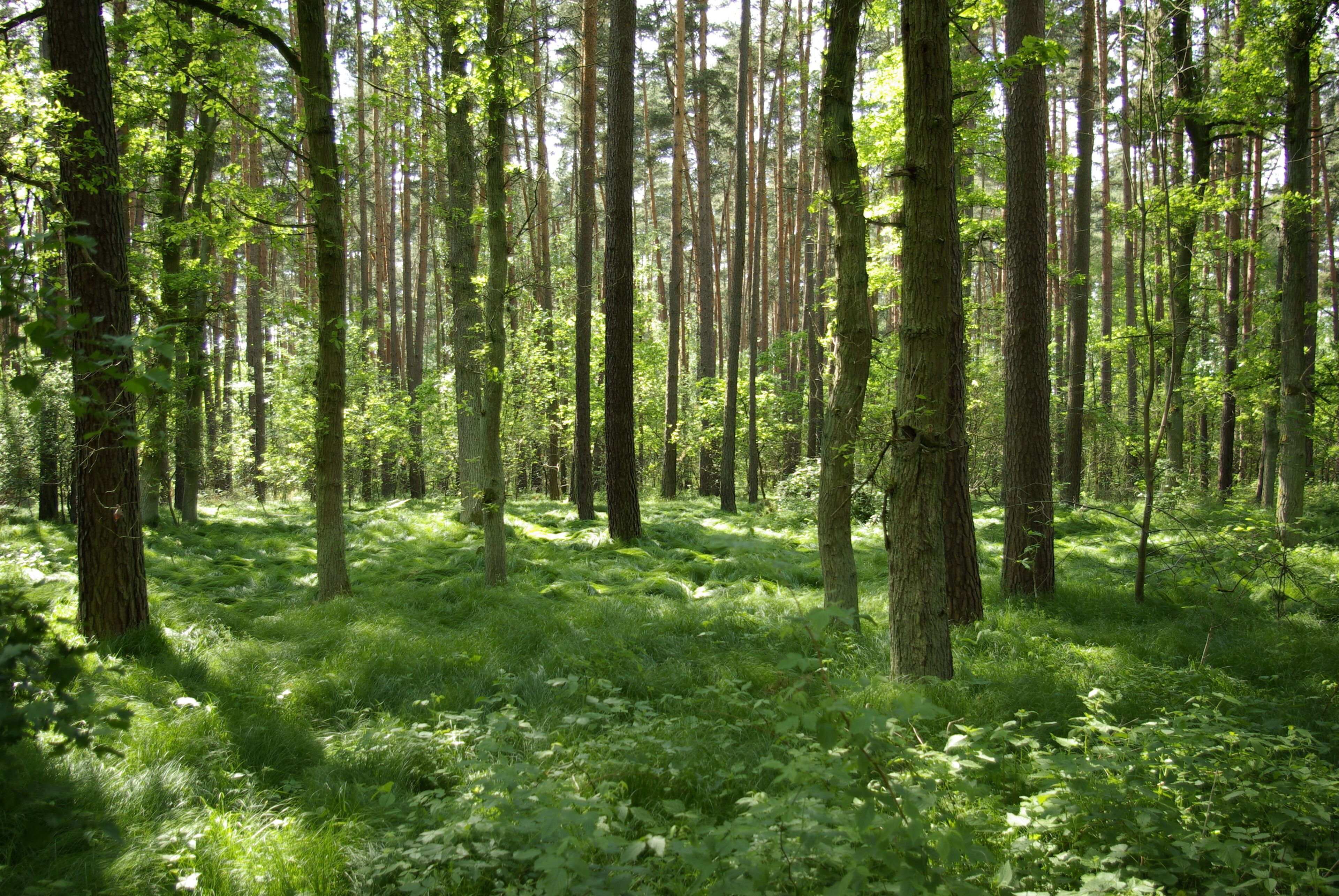 <h2>Best places to stay for families</h2>