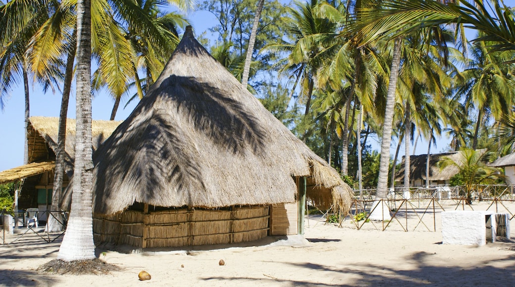 A paradise Bungalow surrounded by coconut palm trees in Savane beach, Beira, Mozambique