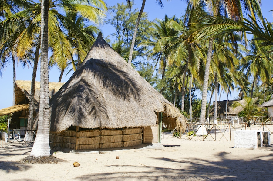 A paradise Bungalow surrounded by coconut palm trees in Savane beach, Beira, Mozambique
