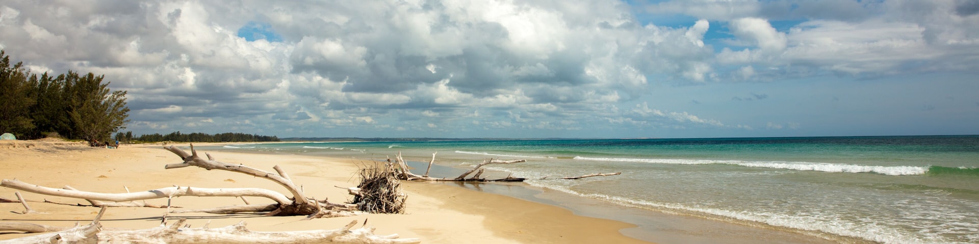 Una playa con madera a la deriva, cielo azul despejado y olas marinas tranquilas.