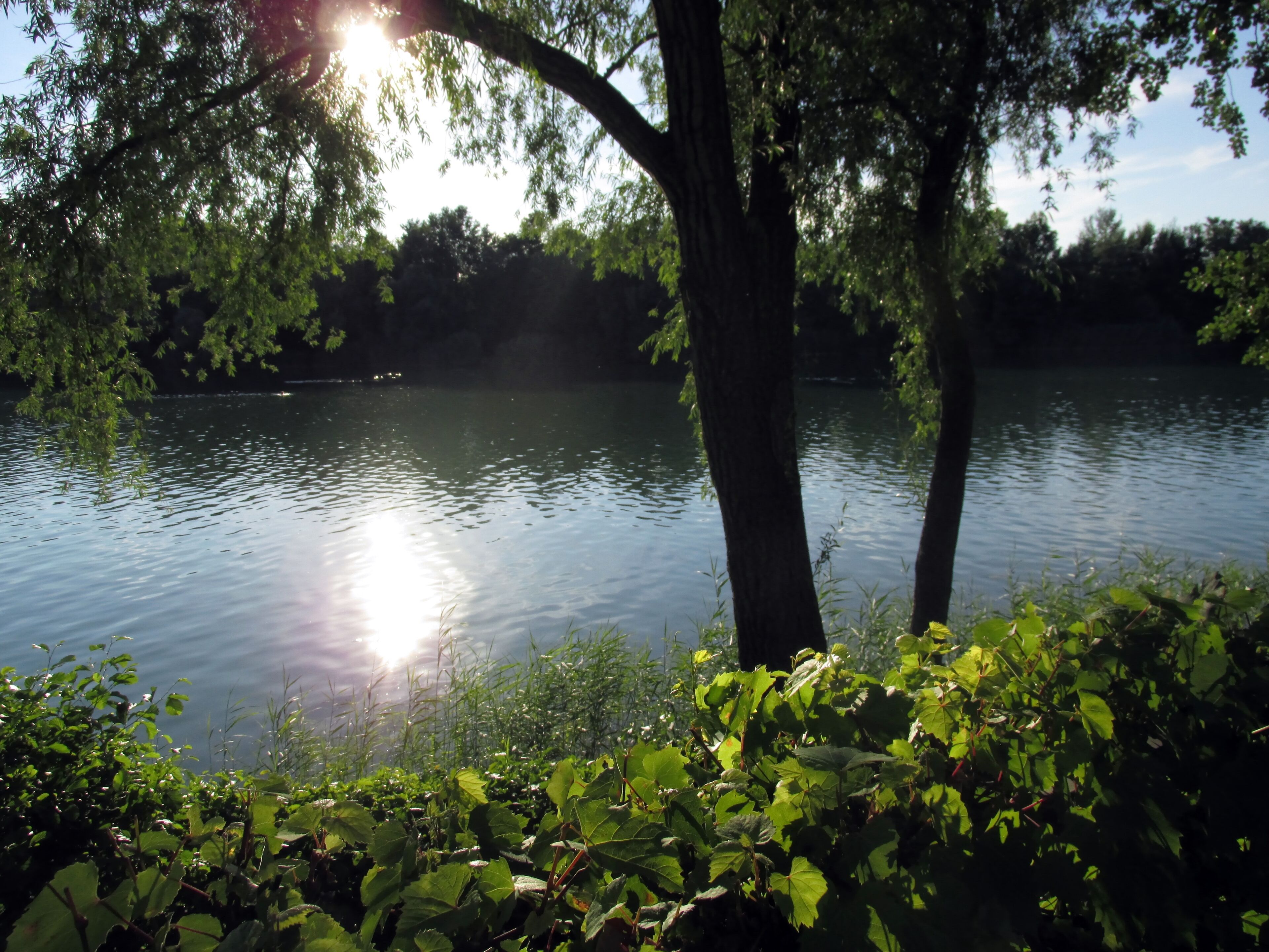 Buchtzigsee Bruchhausen