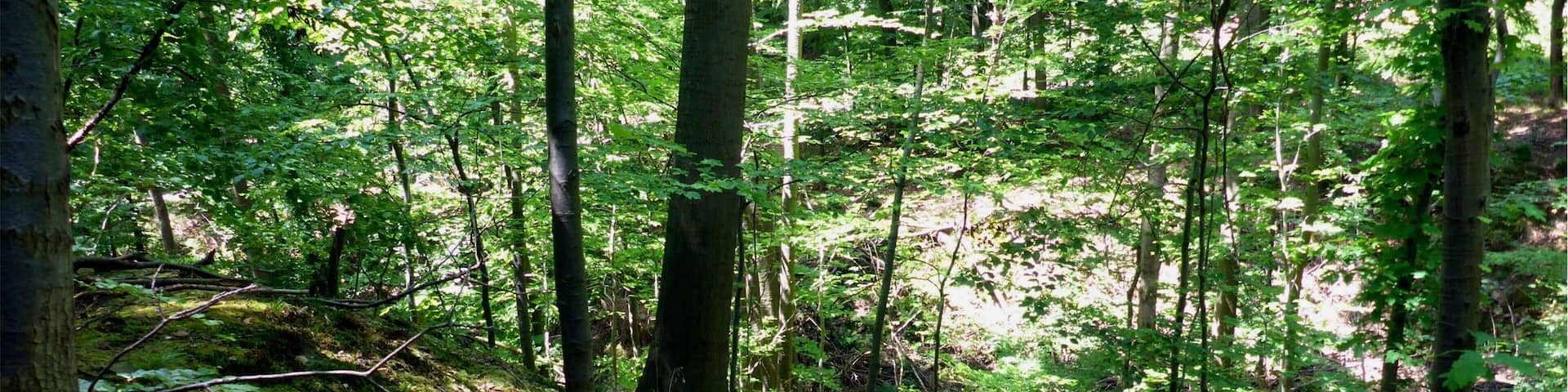 Naturschutzgebiet „Kälberklamm und Hasenklamm“ is a nature reserve in Baden-Württemberg, Germany.
