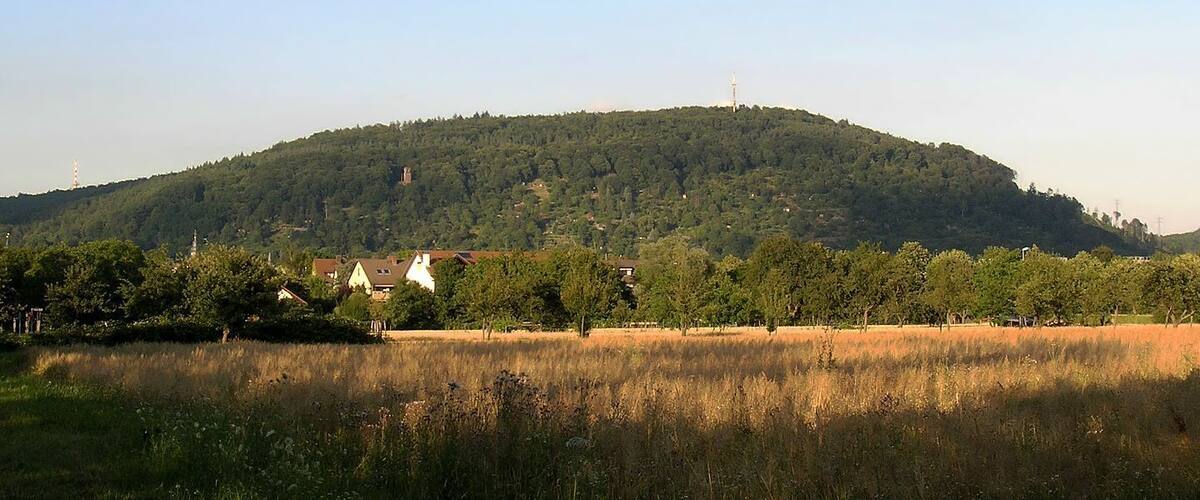 A hill with a small village at its base, surrounded by fields and trees.