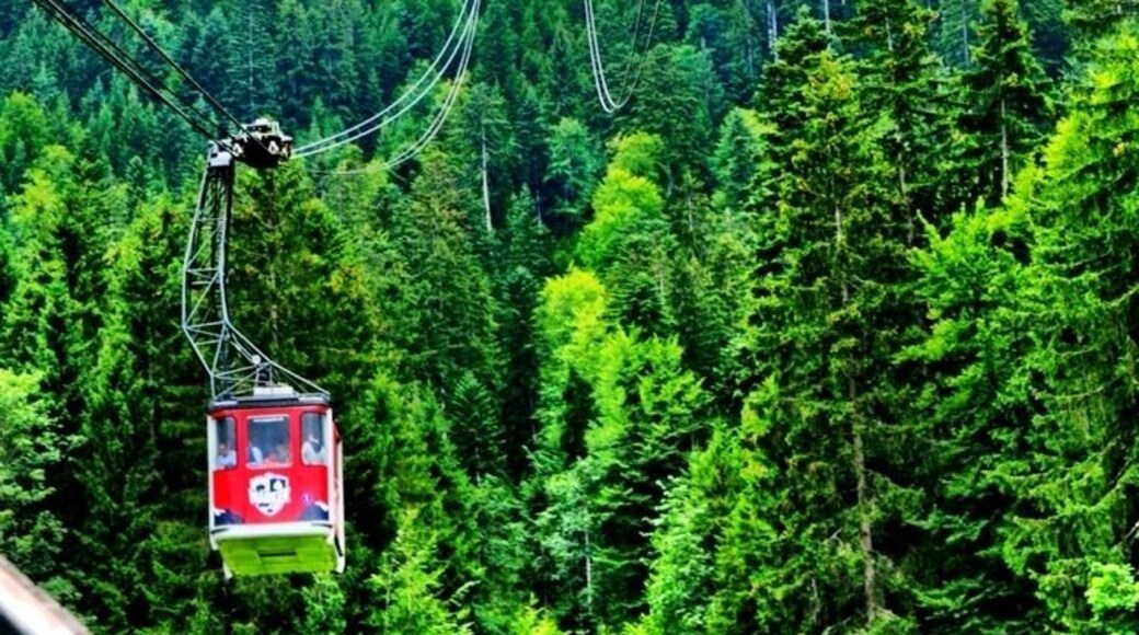 Travel by cable car to the summit of Zugspitze, Germany's highest mountain on the border to Austria. The Eibsee Cable Car opened in 1963 and connects the lower station, 3,192 feet above sea level, with the top station at 9,678 feet above sea level.
The Eibsee Cable Car belongs to Bayerische Zugspitzbahn Bergbahn AG, the company operating the cog railway and most cable cars, gondola lifts, and chairlifts in the Garmisch-Partenkirchen area. This means you can make round trips using both the cog railway and the cable car.
The Eibsee Cable Car runs over two pylons, which are about 213 ft and 279 ft high. Two cabins take 44 people each and are suspended from two track ropes and moved by two haulage ropes. The tramway can accommodate 300 giggling picture snapping tourists per direction each hour. The elevation gain of 6,398 ft is the highest of all aerial cableways achieved in a single section. German engineering rocks !
NOTICE - If you have a thing about heights AND your claustrophobic ...... Think hard before subjecting the rest of us to your over-dramatic panic attack. As amusing as it might be at first.... it gets old after the 4000 foot mark and we are likely to vote you off the cable car around 6000 feet!