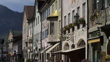 Una calle con arquitectura europea tradicional, que incluye fachadas ornamentadas y macetas con flores.