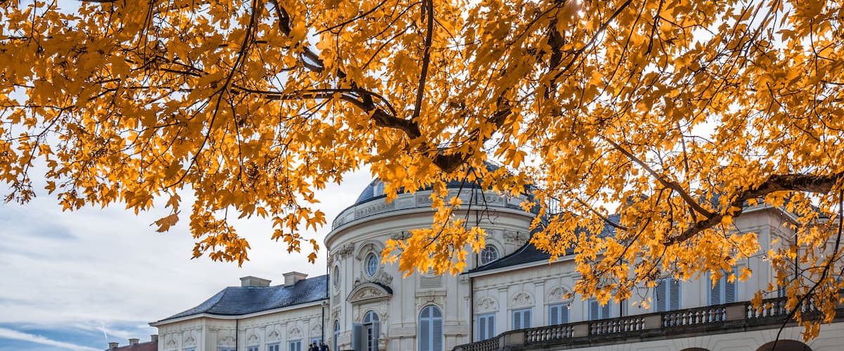 A historic building with a dome, a grand staircase, and autumn foliage.