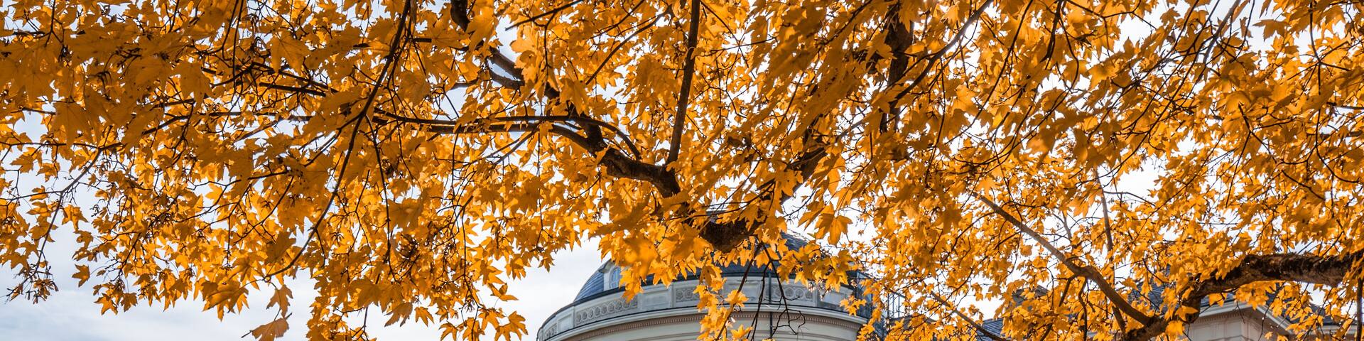 A historic building with a dome, a grand staircase, and autumn foliage.