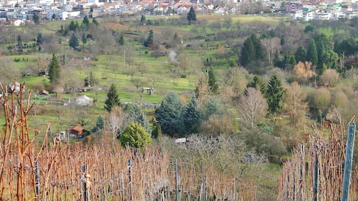 Blick von Gerlingen Richtung Bergheim und Wolfbusch