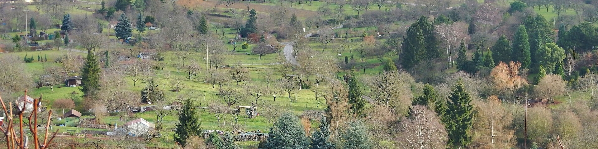 Blick von Gerlingen Richtung Bergheim und Wolfbusch