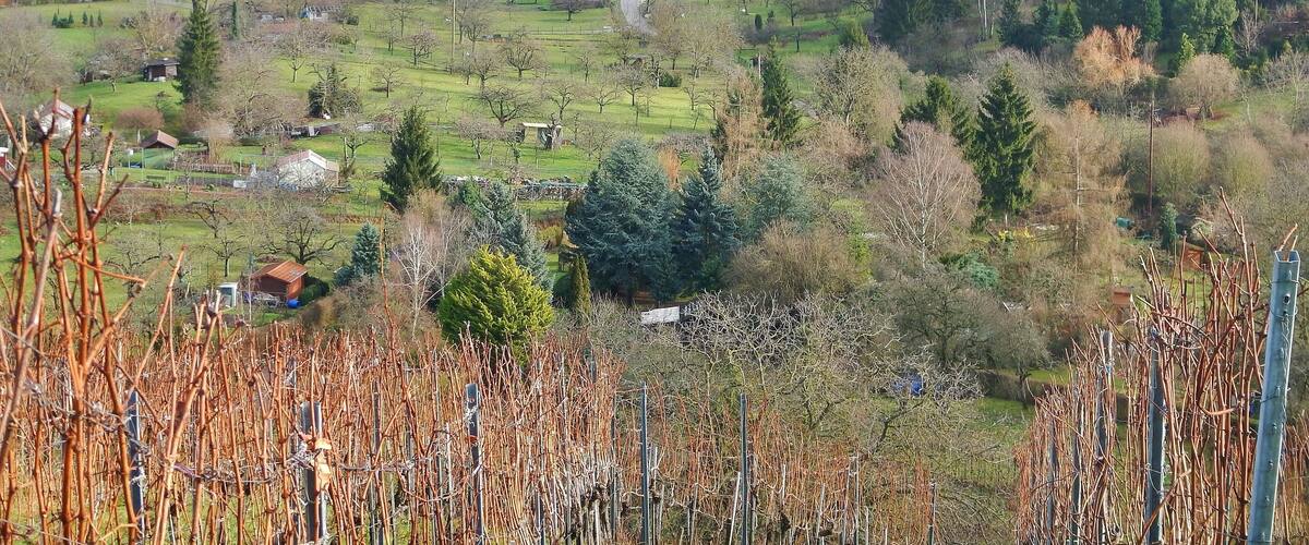 Blick von Gerlingen Richtung Bergheim und Wolfbusch