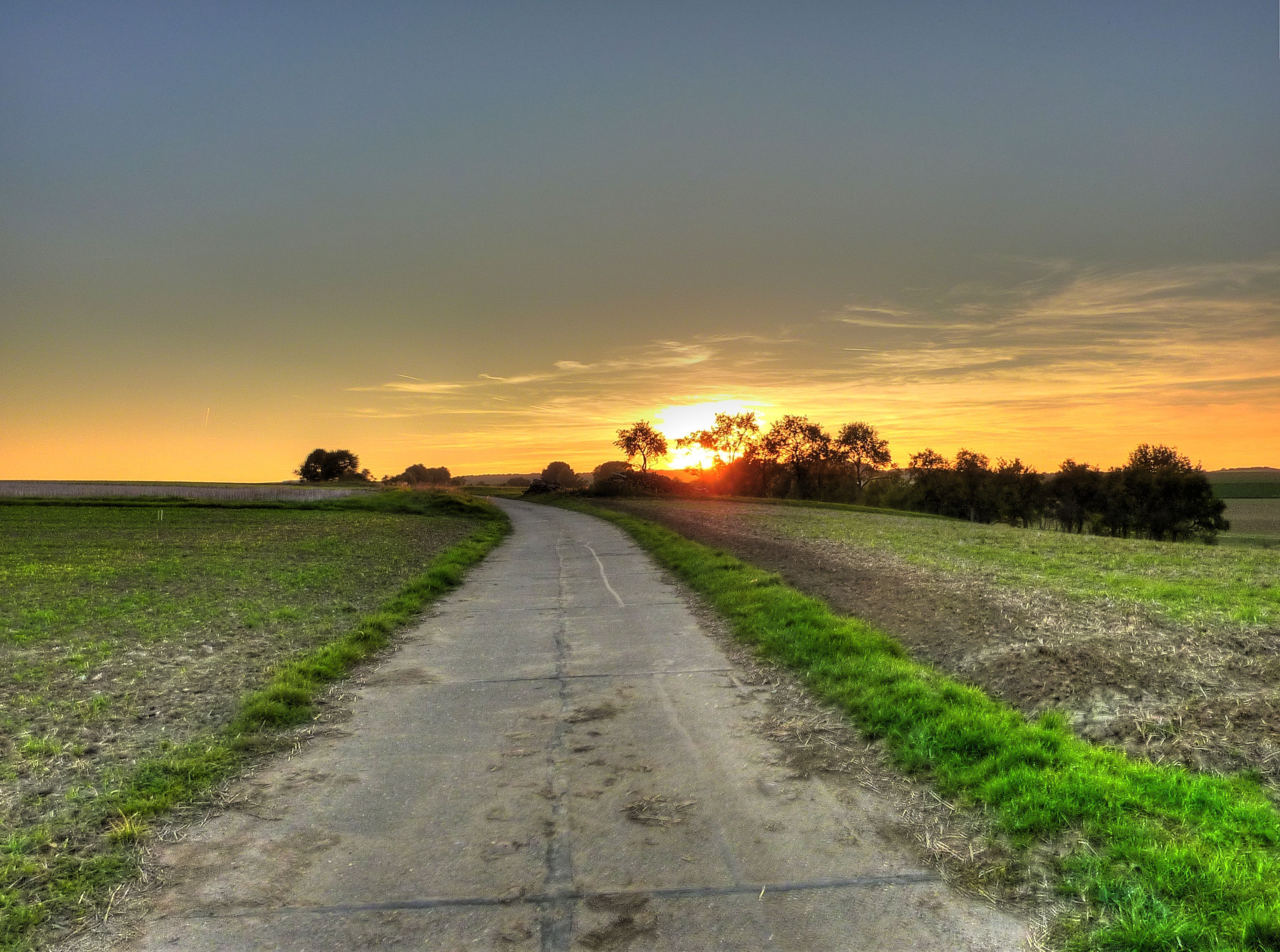 Gießen-Lützellinden, Sonnenuntergang durch Bäume