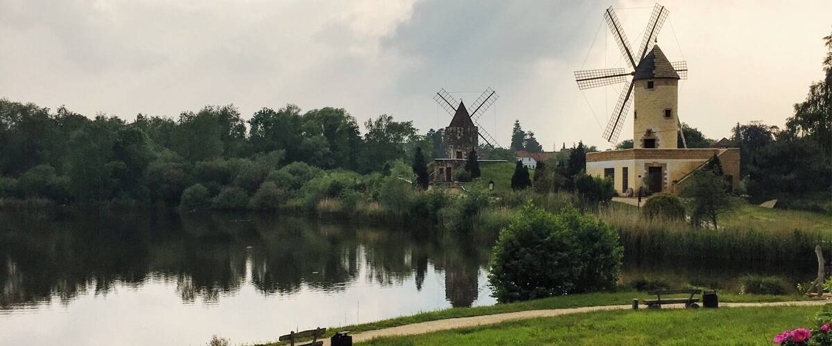 A windmill by a calm lake with pink flowers in the foreground.