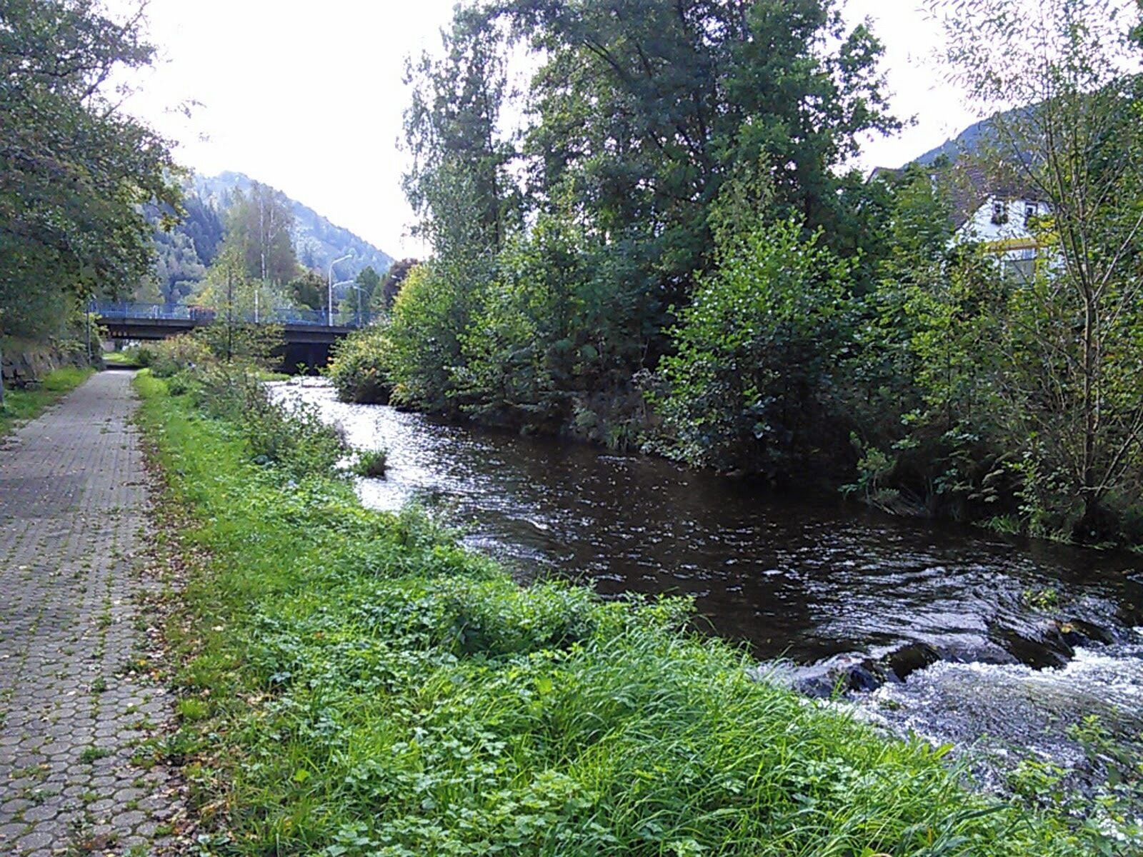 Oker near Goslar. Harz, Niedersachsen, Germany