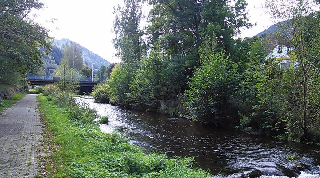 Oker near Goslar. Harz, Niedersachsen, Germany