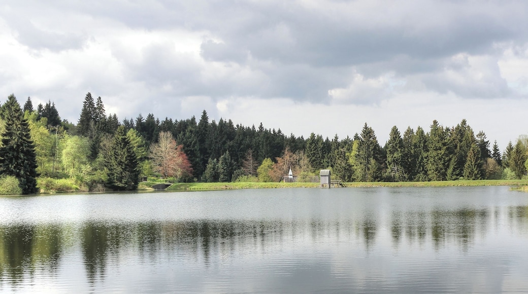 Oberharzer Wasserwirtschaft