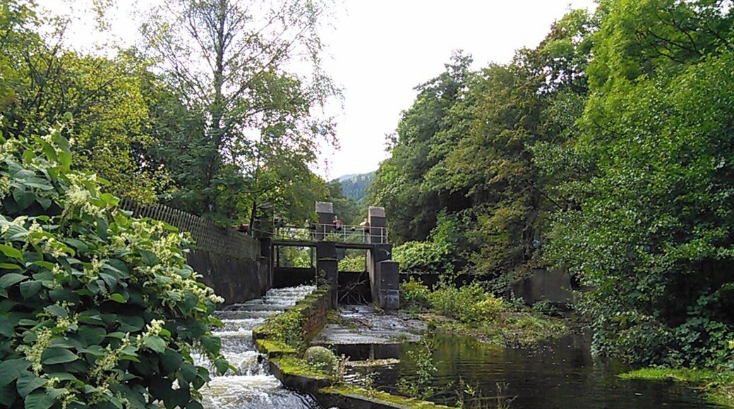 Oker near Goslar. Harz, Niedersachsen, Germany