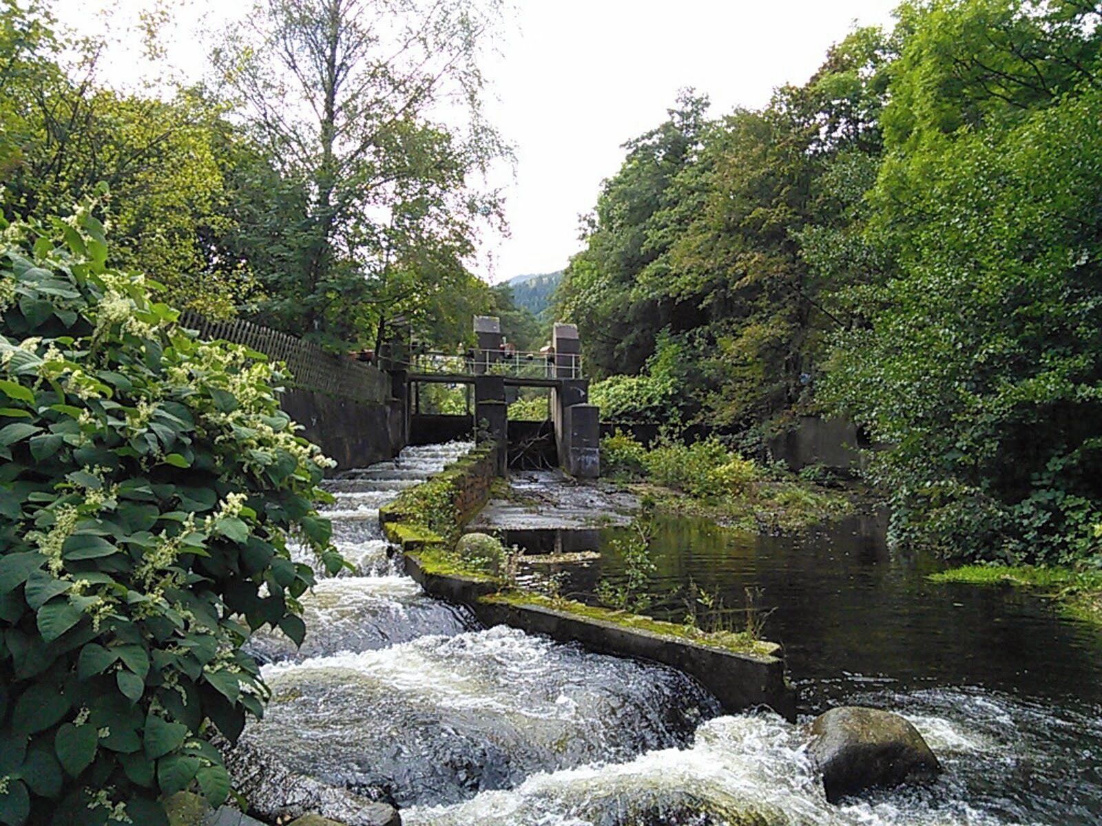 A river flowing through a lush green landscape with a small bridge and a stone structure.