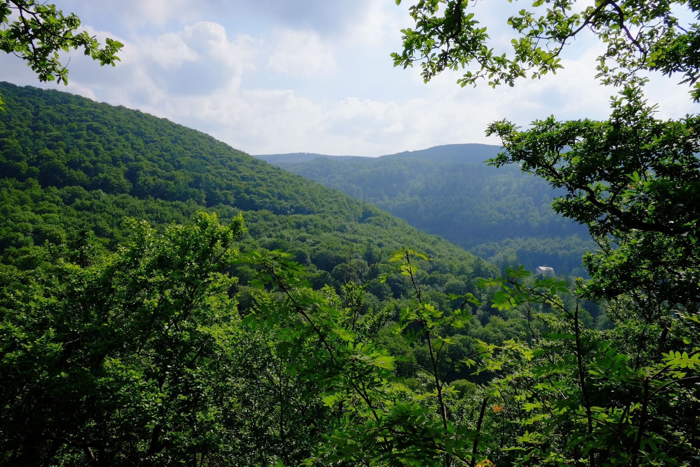 Harz National Park is a gorgeous nature park in central Germany, right outside of Bad Harzburg. I almost equated it to a scaled-down version of the Rocky Mountain National Park in the USA. Despite being small, there are a number of lovely hikes in the rolling hills and mountains in this park. #hiking