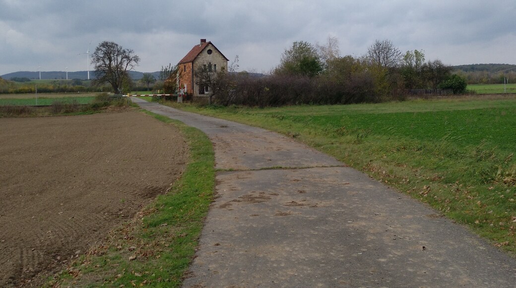The Steinfeld (Stonefield) near Harlingerode at the approximate position of the lost village Döringerode.