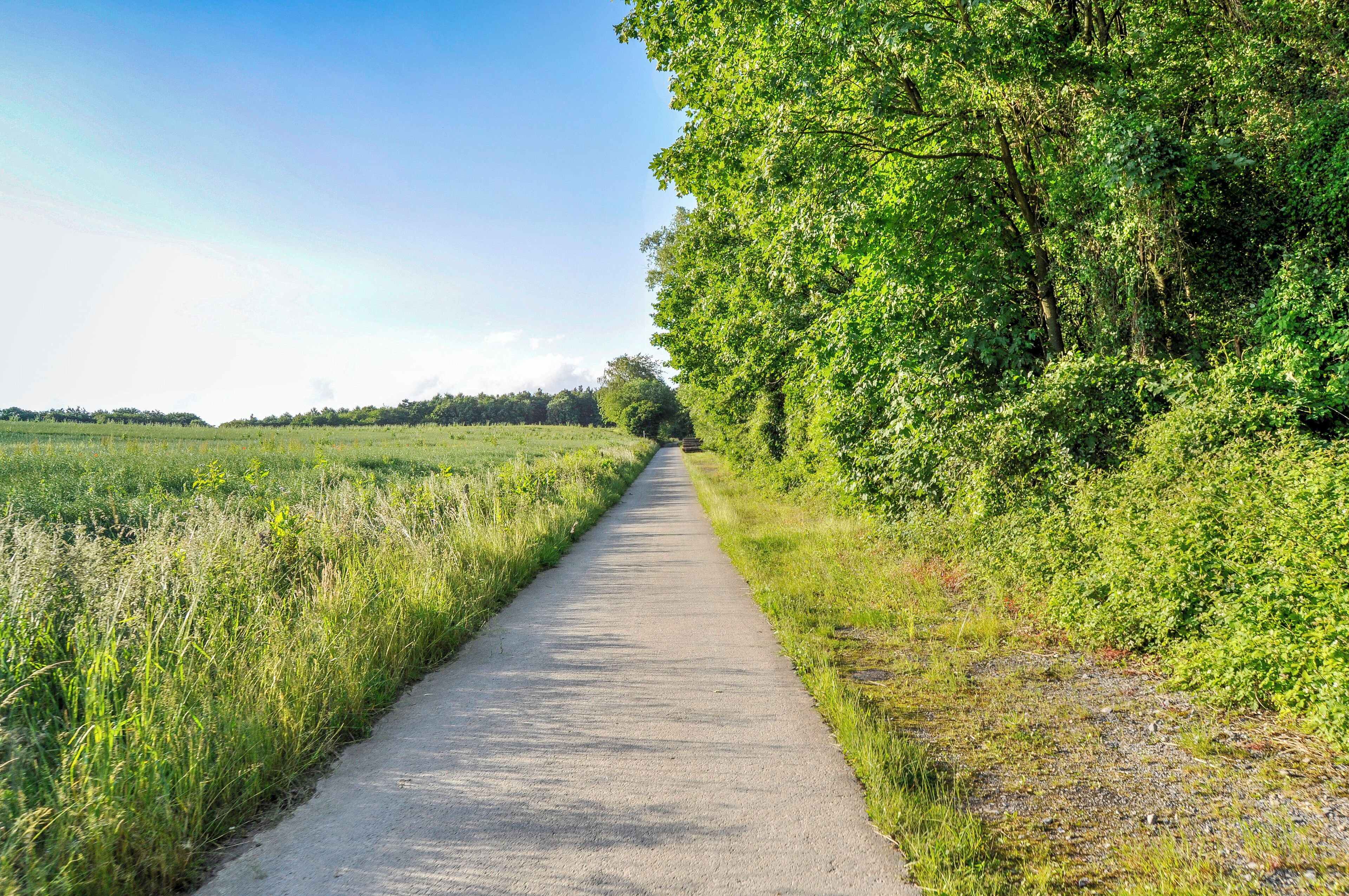 A narrow paved path flanked by lush greenery and fields.