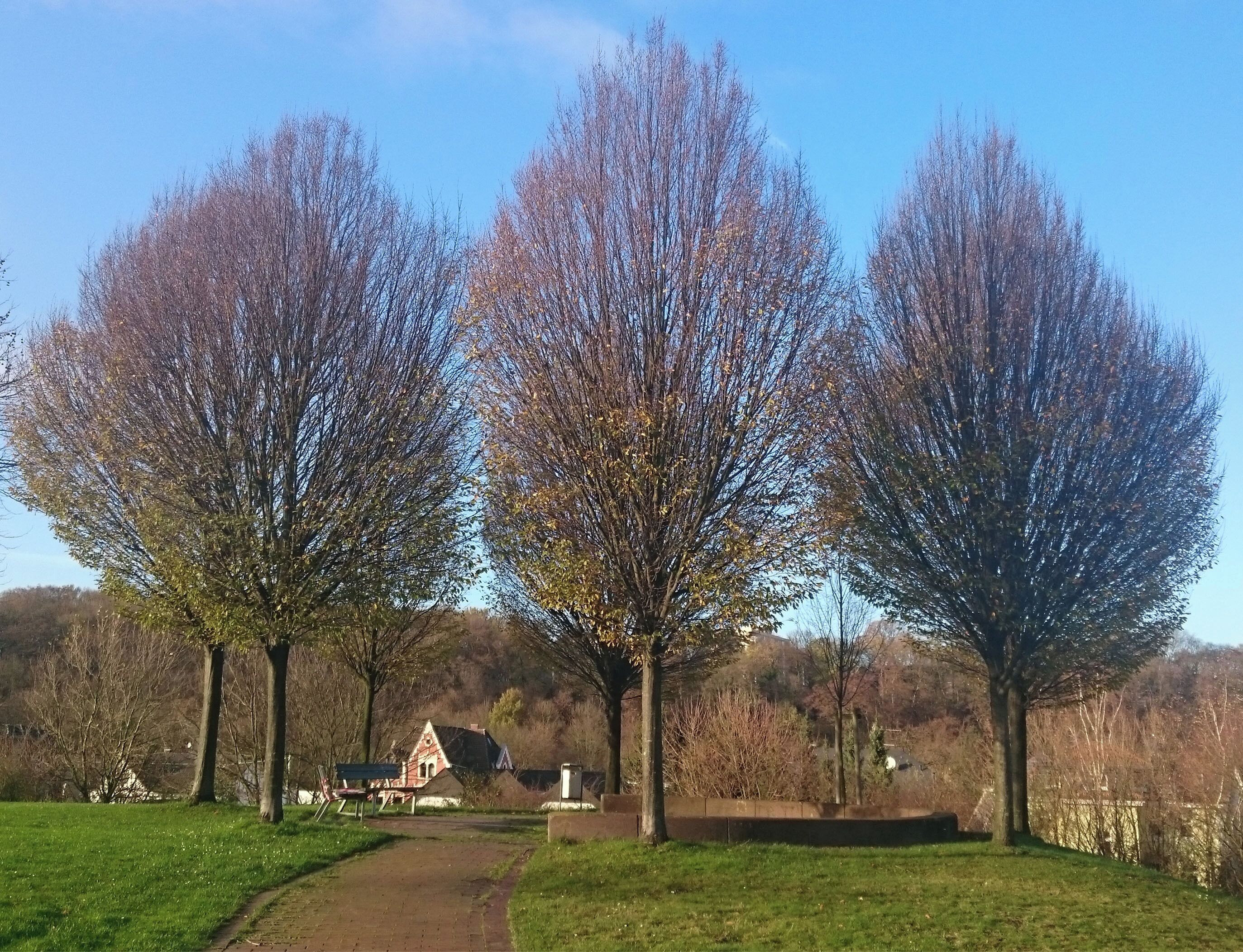 Herbst in Haspe, Ennepepark