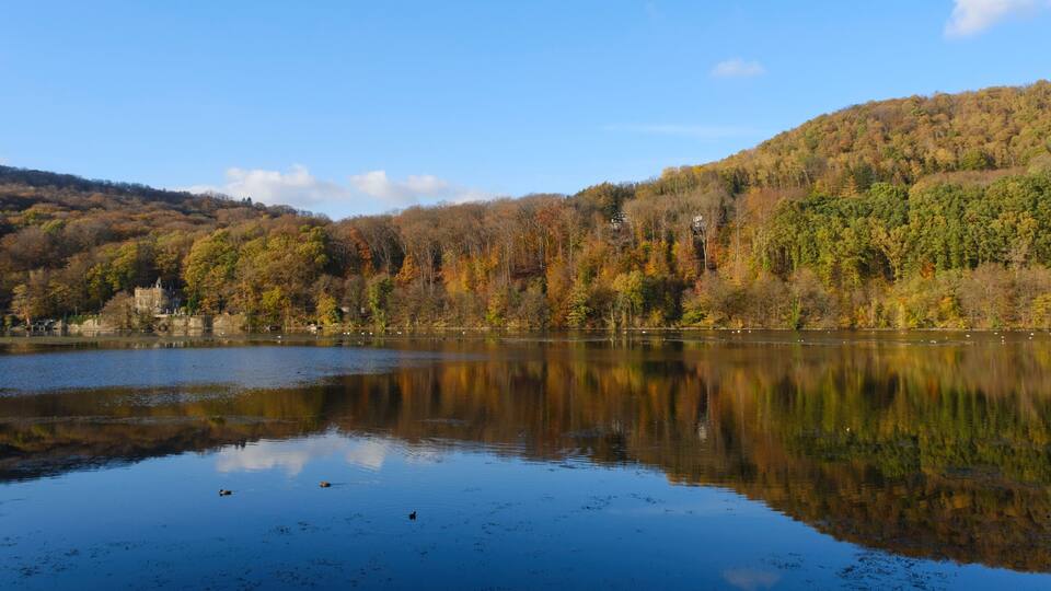 A calm lake reflecting trees and a hill.