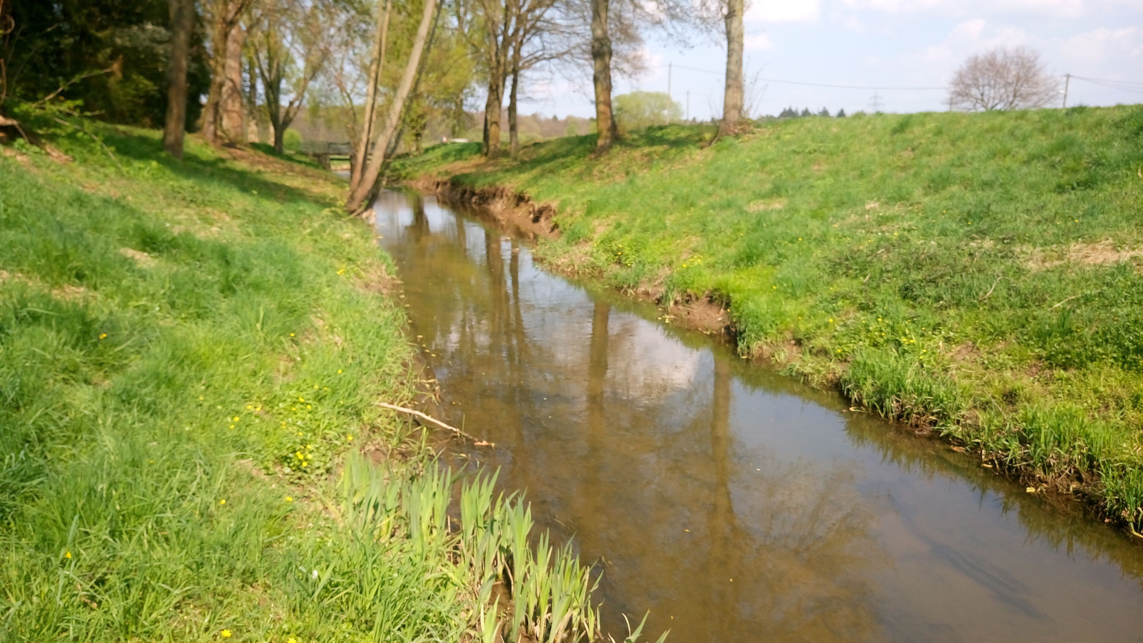 Der Fallbach bei Hanau