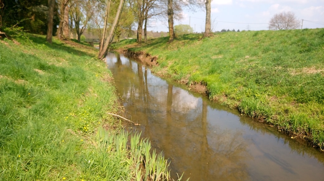 Der Fallbach bei Hanau
