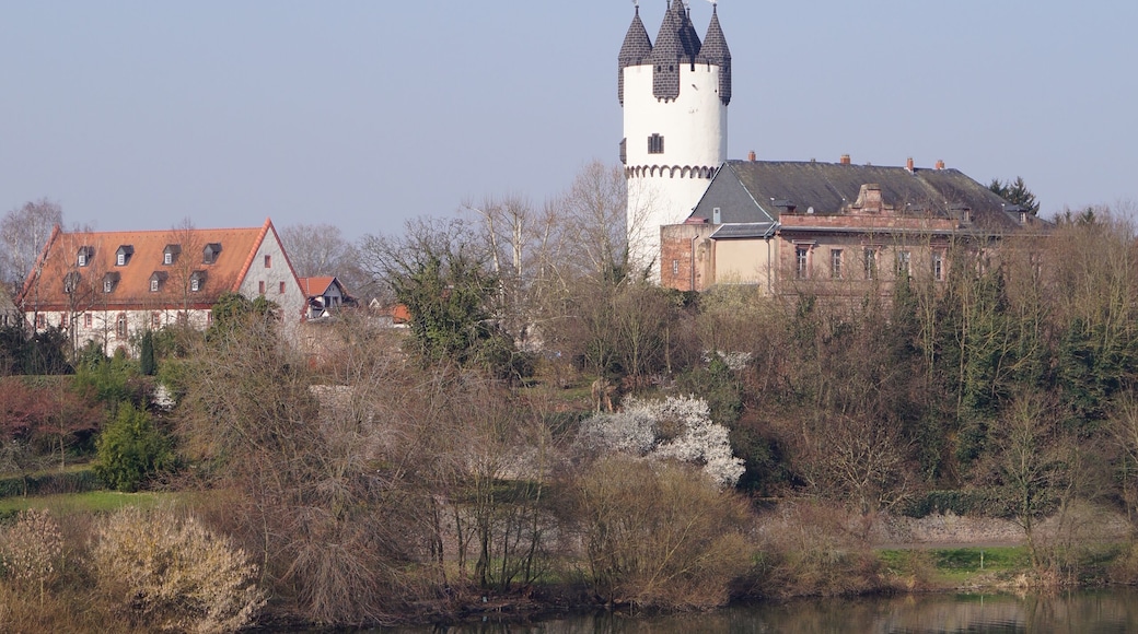 Schloss Steinheim in Hanau-Steinheim, von der StraĂenbrĂŒcke der B43a fotografiert.
