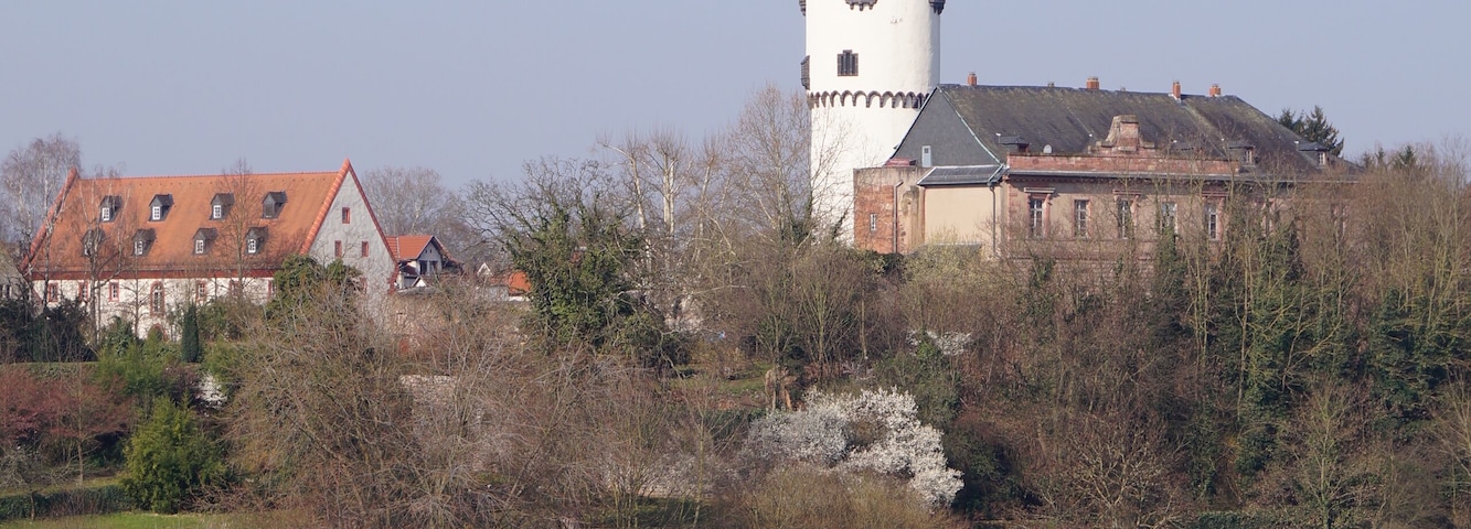 Schloss Steinheim in Hanau-Steinheim, von der Straßenbrücke der B43a fotografiert.