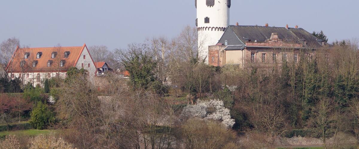 A castle with a tower, a body of water, and surrounding trees.