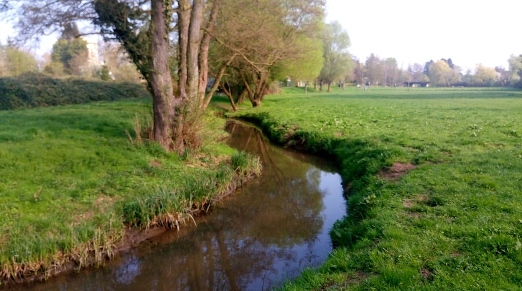 Der Salisbach in Hanau