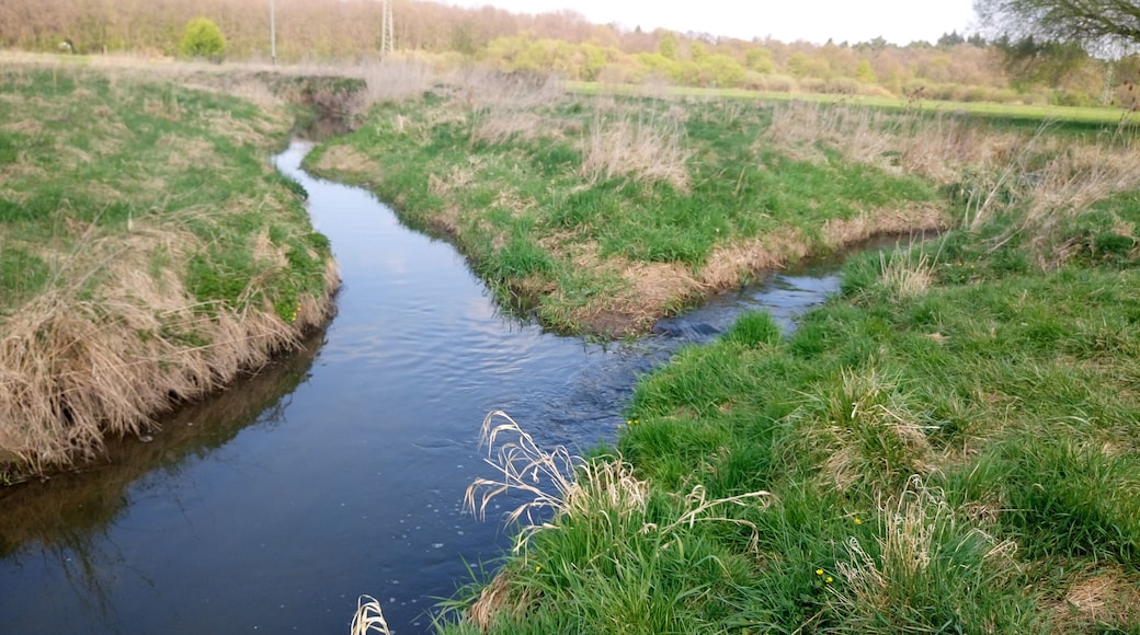 Der Krebsbach mündet in den Fallbach