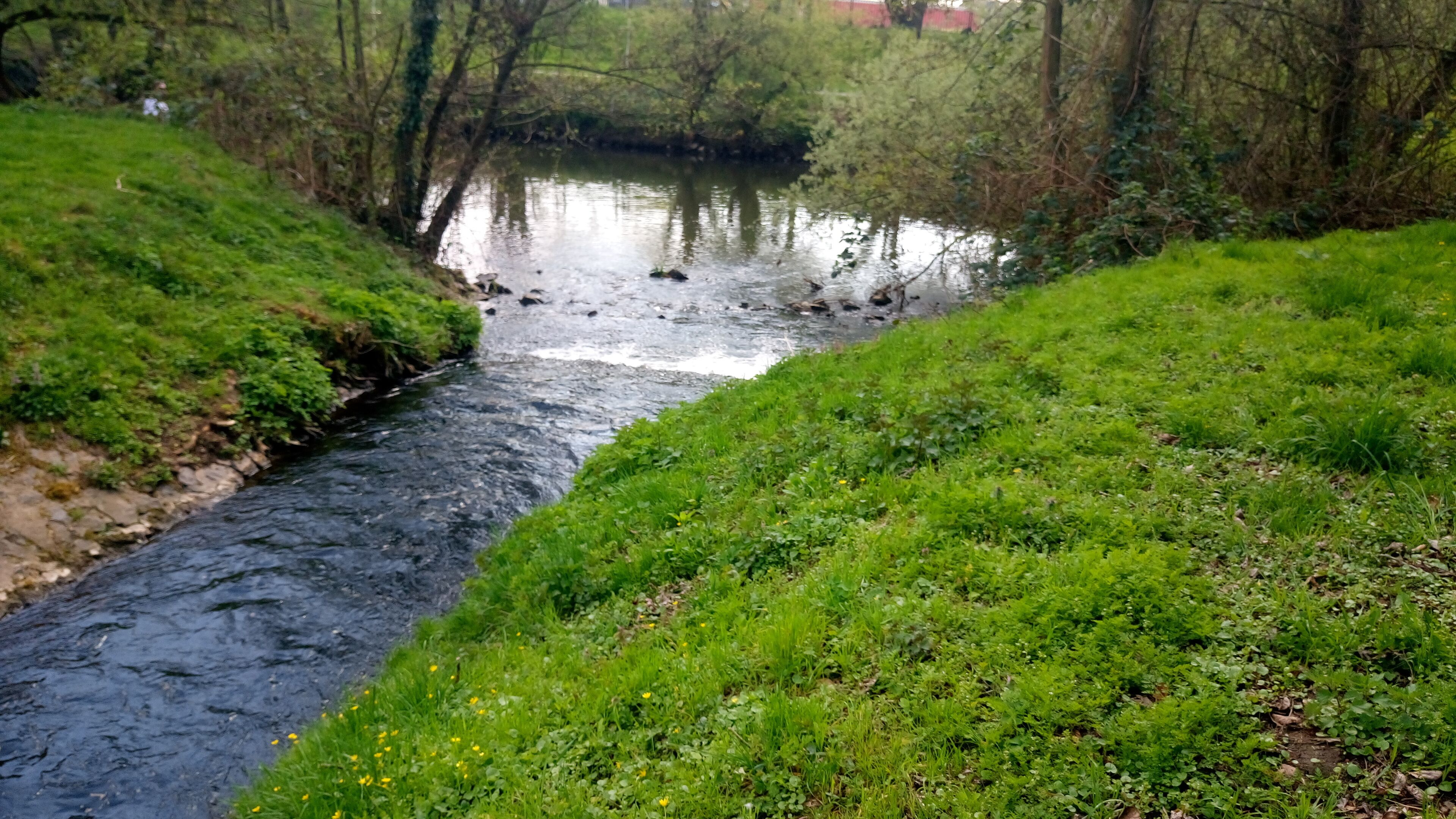Der Fallbach mündet in die Kinzig