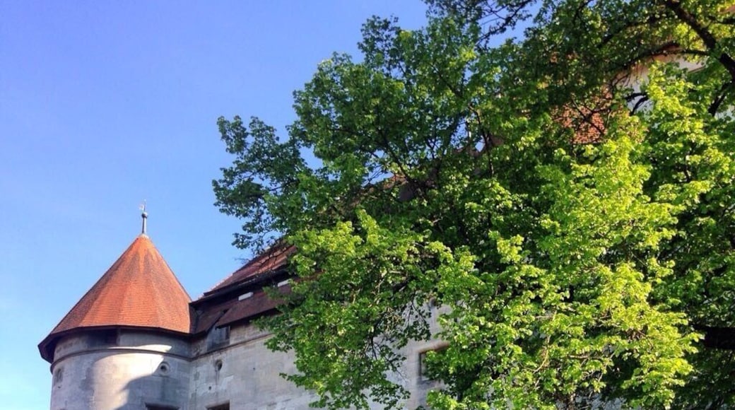 Castle in Baden Württemberg #castle #badenwürttemberg