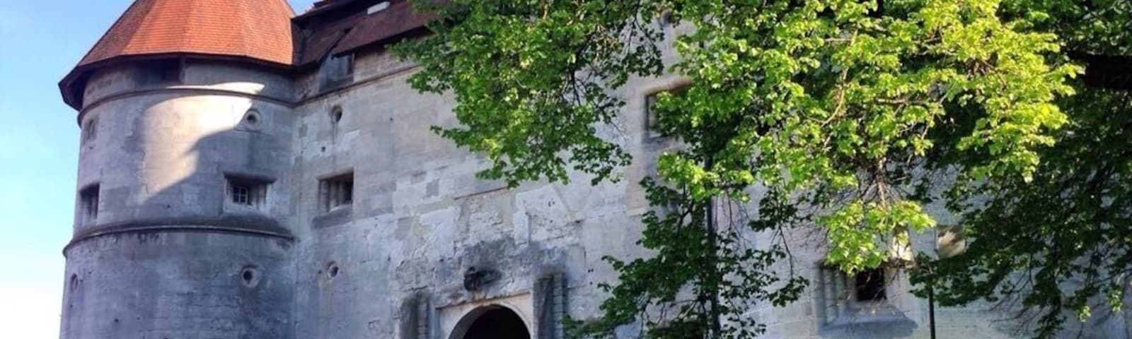 Castle in Baden Wรผrttemberg #castle #badenwรผrttemberg