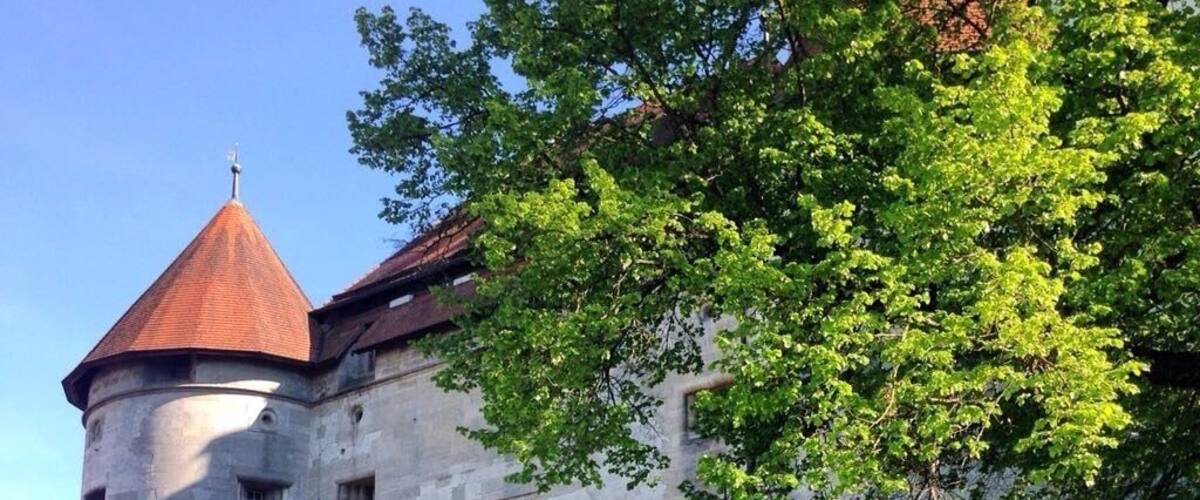 Castle in Baden Württemberg #castle #badenwürttemberg