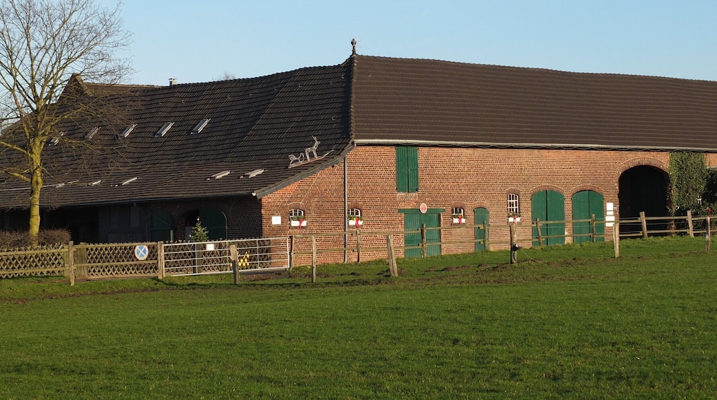 This is a photograph of an architectural monument. It is on the list of cultural monuments of Hilden, no. 16