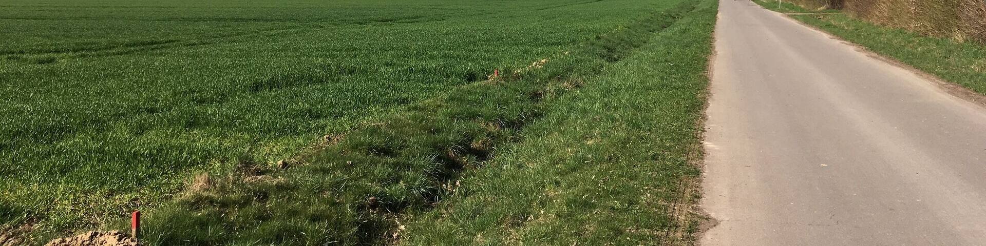 Wilhlemshöhe in Hürth vom Weiler Berrenrath aus