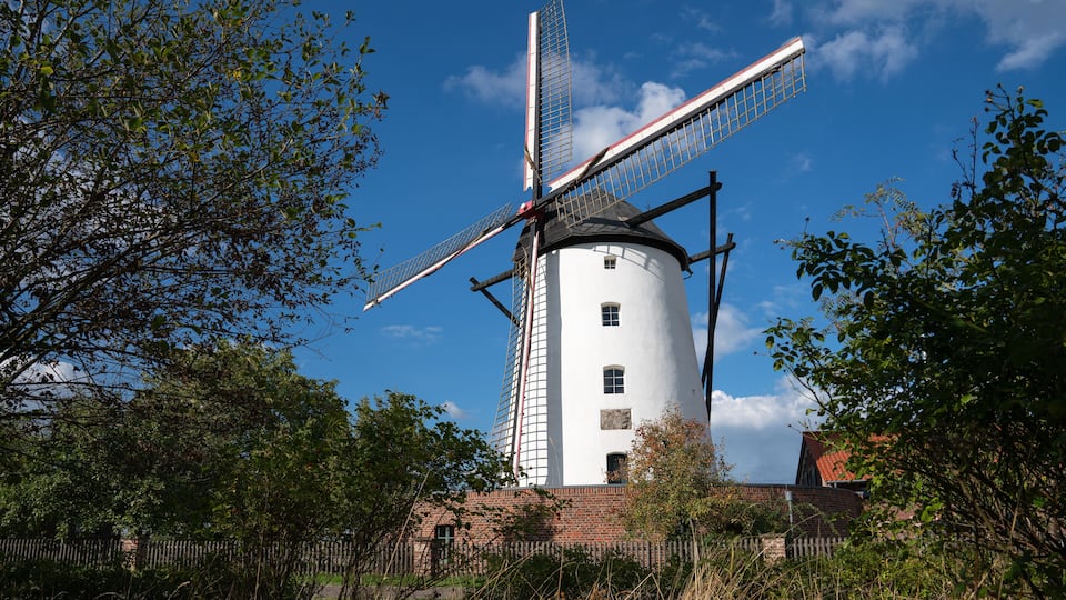 A traditional windmill with a white body and black roof, surrounded by trees and a brick wall.
