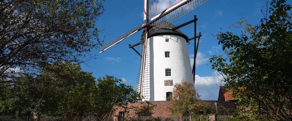A traditional windmill with a white body and black roof, surrounded by trees and a brick wall.