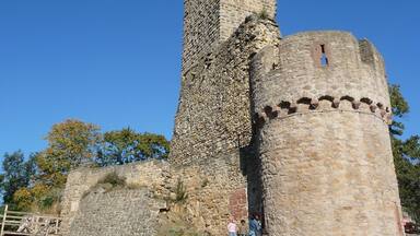 Rudolf von Habsburg kaufte 1273 die Burg und übergab sie seinem Schwiegersohn Pfalzgraf Ludwig II. als Mitgift für seine Tochter.