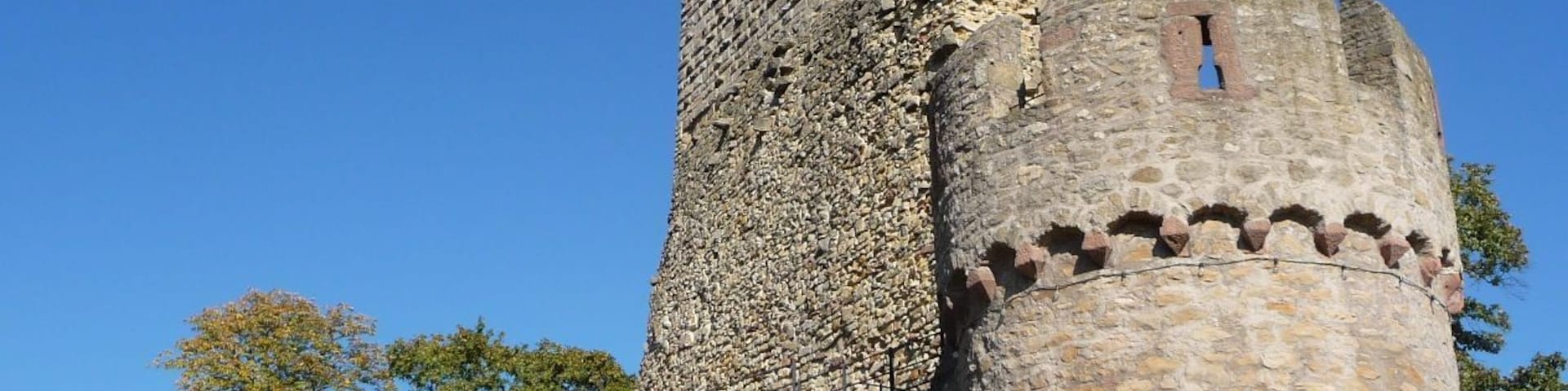 Rudolf von Habsburg kaufte 1273 die Burg und übergab sie seinem Schwiegersohn Pfalzgraf Ludwig II. als Mitgift für seine Tochter.