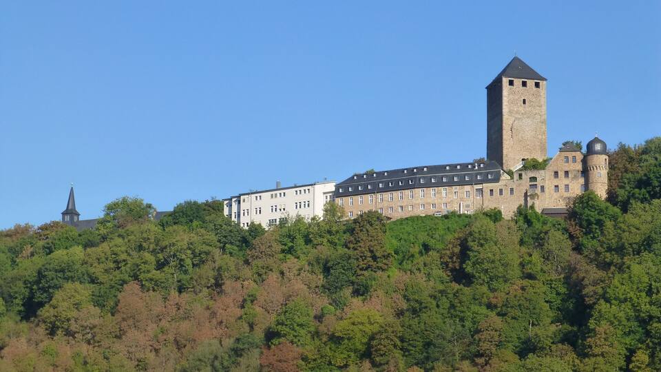 A castle on a hill with a tower, surrounded by dense forest.