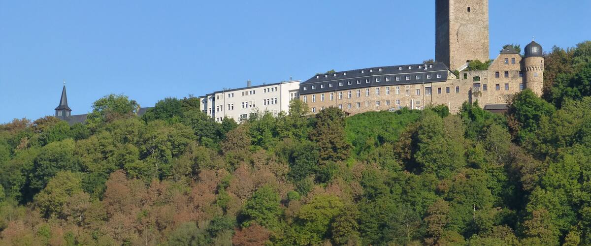 A castle on a hill with a tower, surrounded by dense forest.