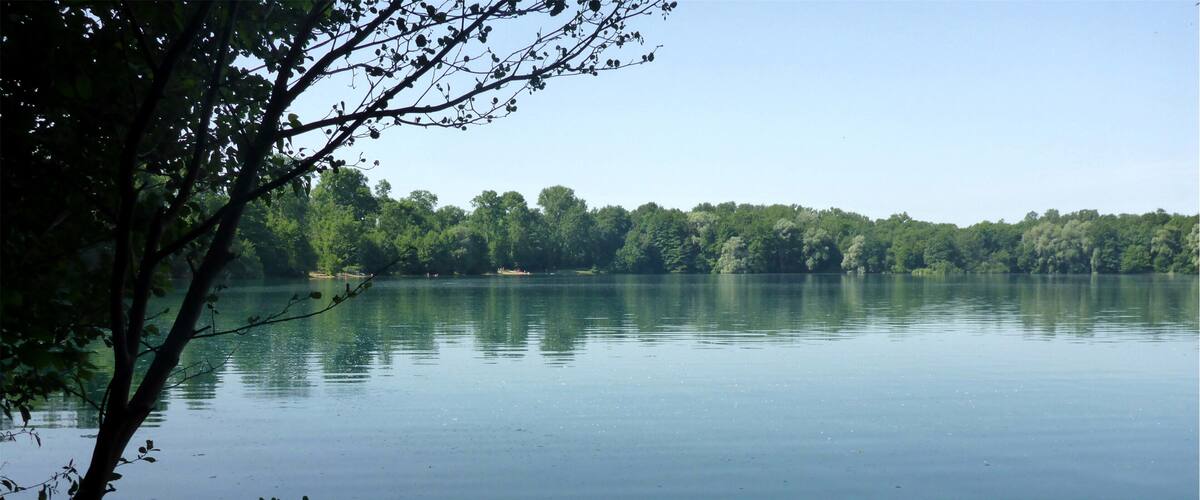 A calm lake surrounded by dense trees.